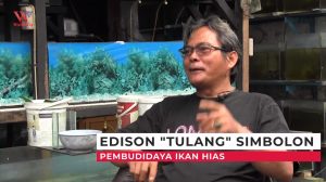 Edison "Tulang" Simbolon - Pembudidaya Ikan Hias