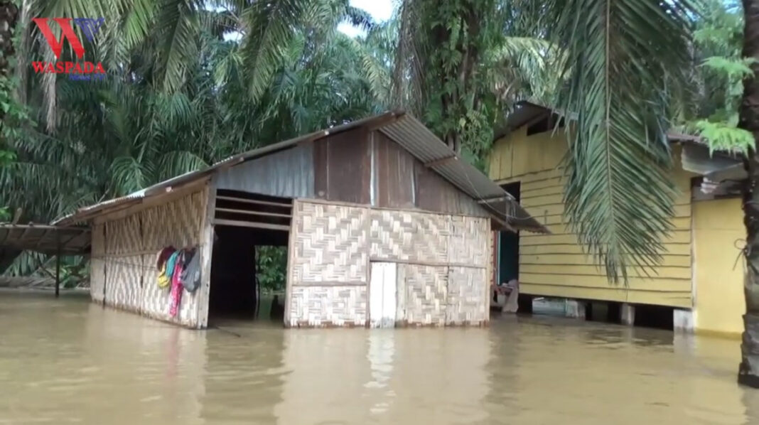 Banjir Rendam Rumah Warga Dan Ruas Jalinsum Labusel