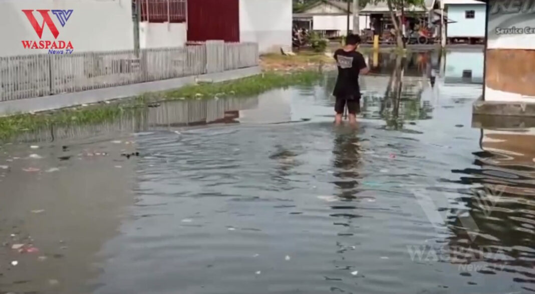 Banjir Rob Di Belawan Ribuan Rumah Terendam