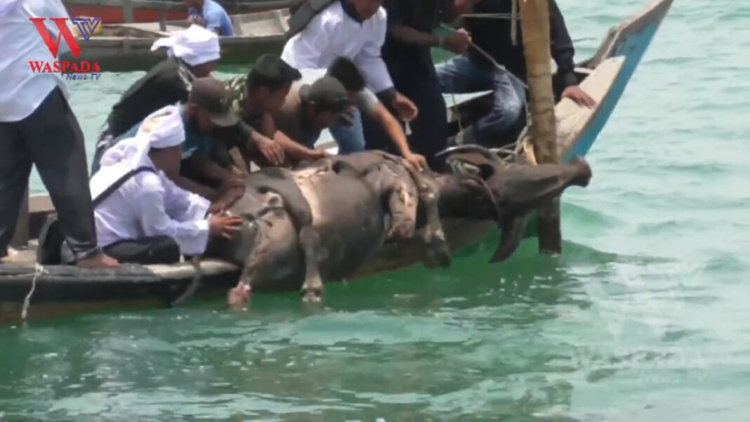 Jamu Laut Tradisi Masyarakat Nelayan