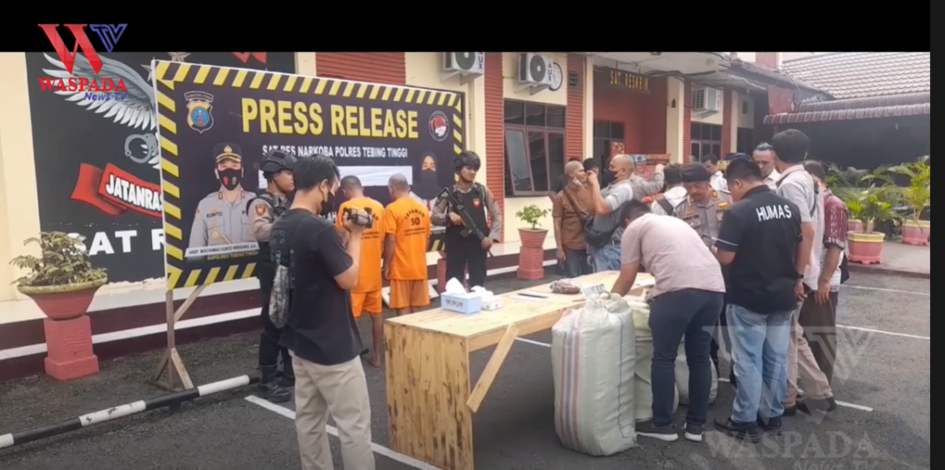 Digagalkan Polres Tebing Tinggi !! Peredaran 50 Kilogram Ganja