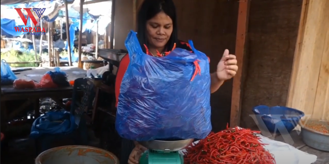 Harga Tembus 100 Ribu Per Kg Di Sibolga ‼️ Cabai Semakin Pedas