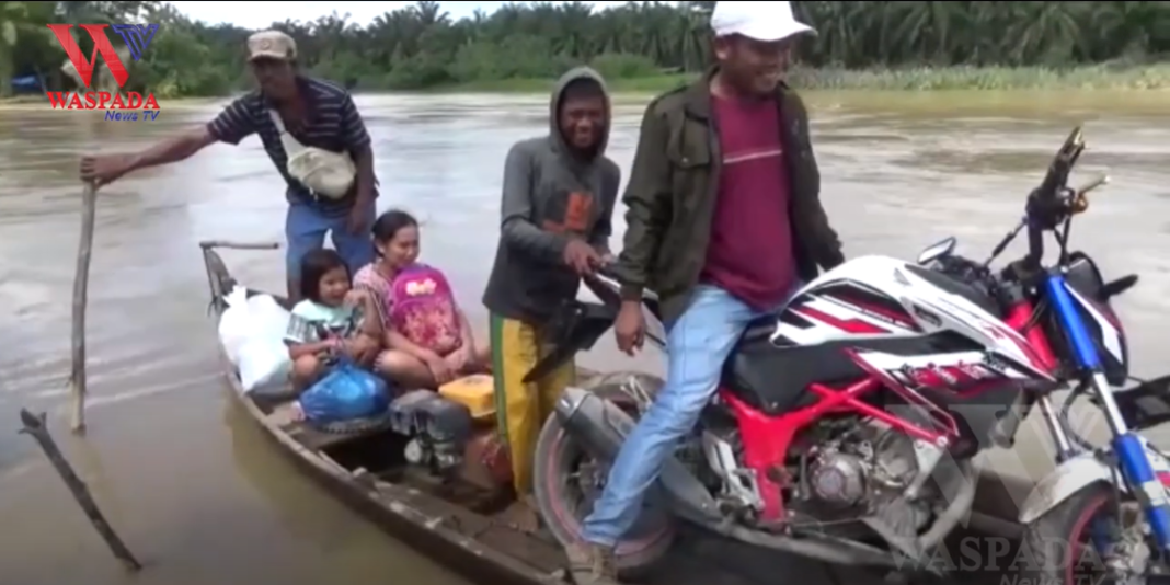 Tanggul Jebol Tidak Diperbaiki Derita Panjang Warga Sialang Taji