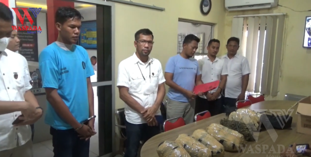 Bawa 7 Kg Lebih Ganja Kurir Narkoba Antar Provinsi Diringkus