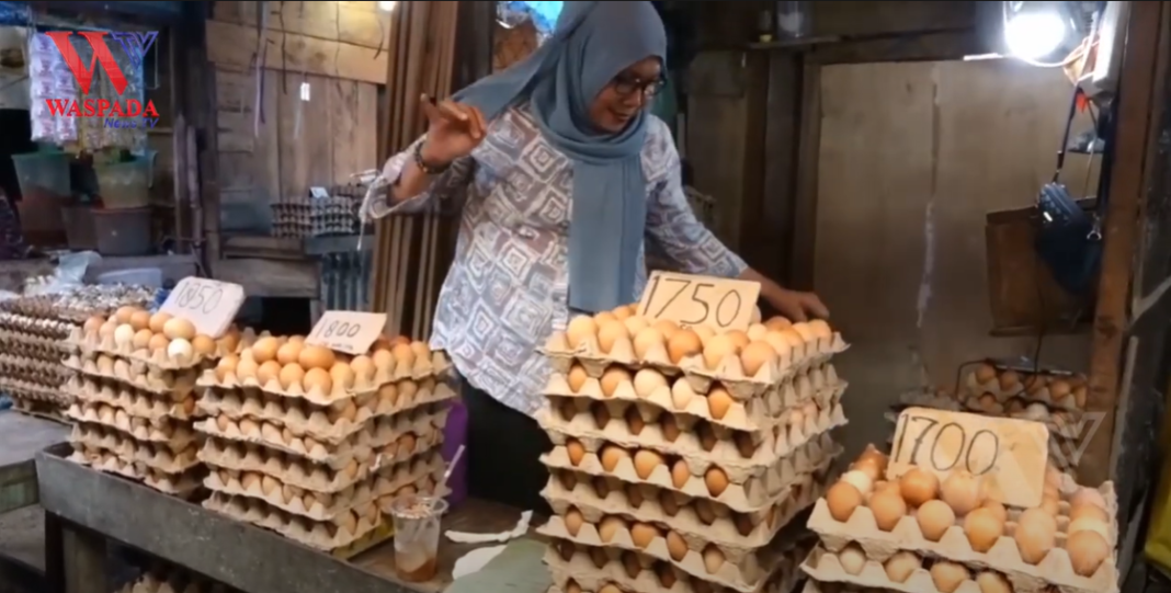 Harga Telur Ayam Terus Melonjak