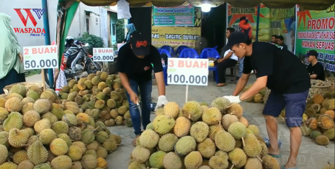 Makan Durian Sepuasnya Hanya Rp. 50.000