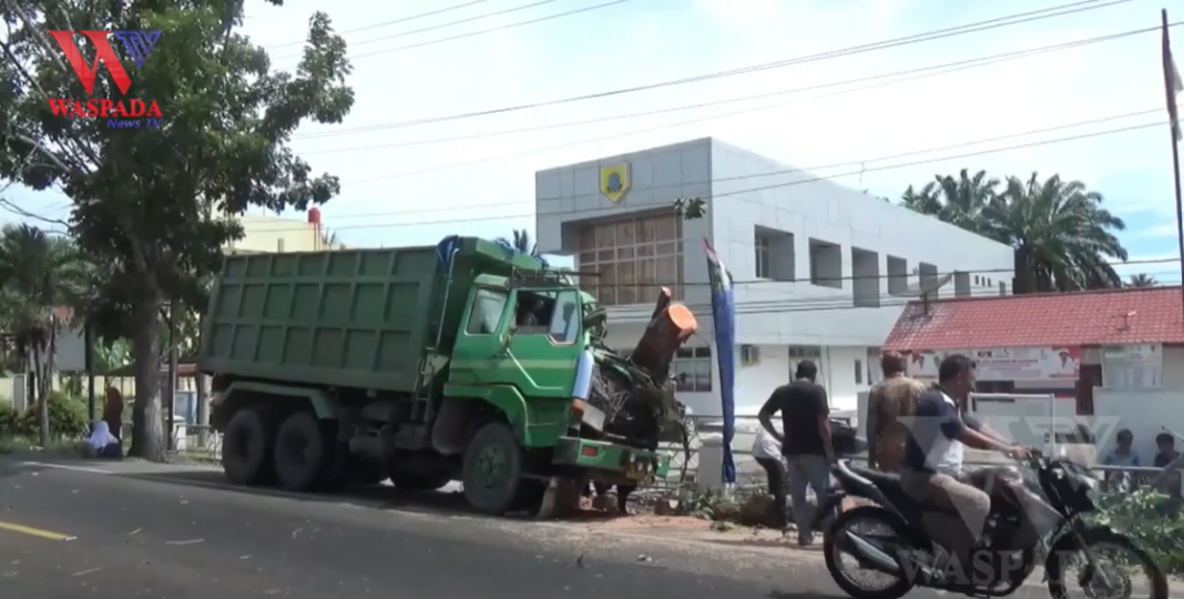 Dump Truk Tabrak Pohon Mahoni Di Jalinsum