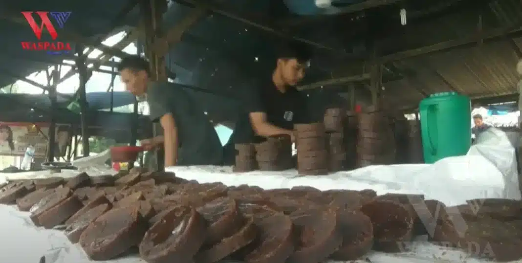 Memanfaatkan Limbah Batang Pohon Kelapa Sawit Menjadi Gula Merah