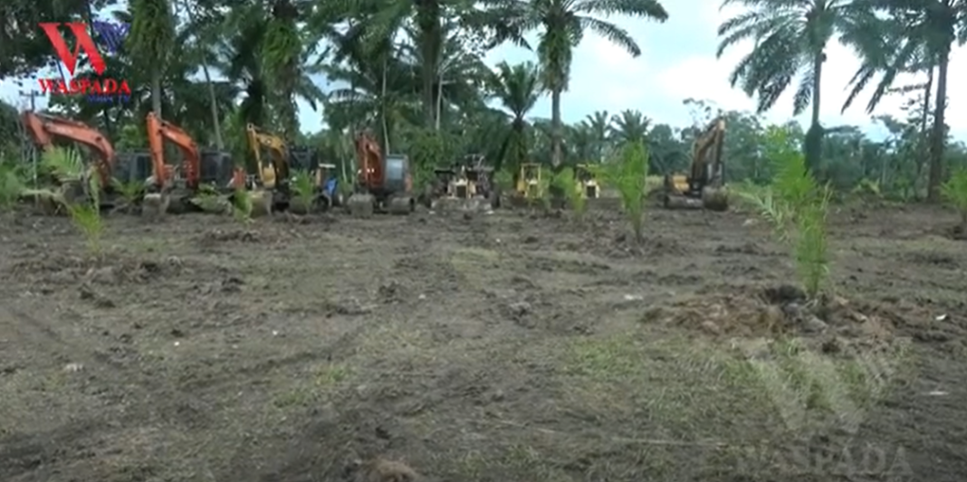 Puluhan Hektar Lahan PTPN 3 Kecamatan Siantar Sitalasari Telah Dibebaskan