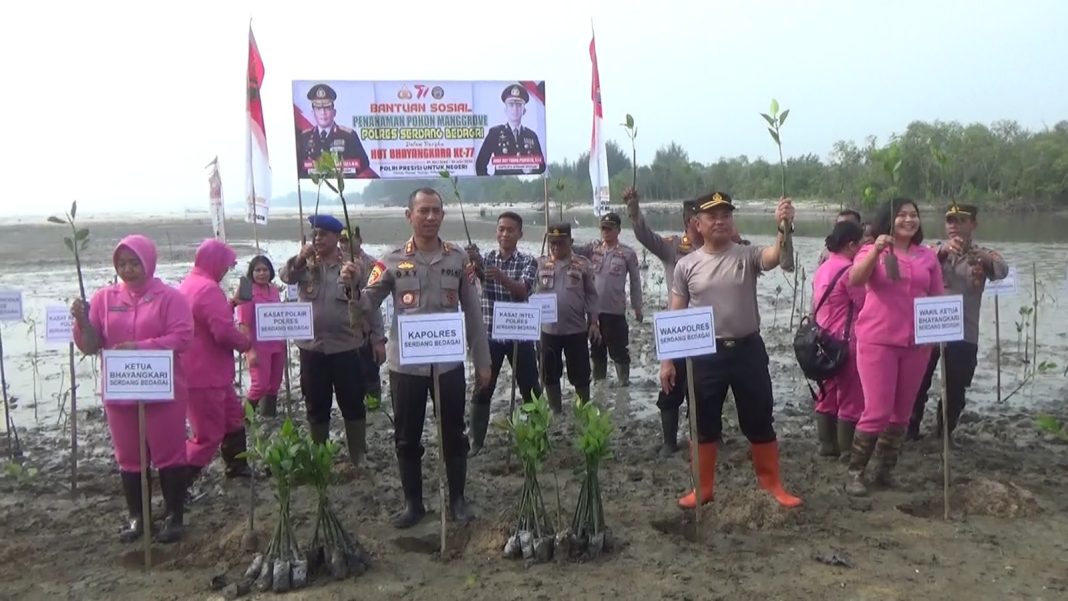 Peringatin Hut Bhaayangkara Ke-77 Polres Sergai Tanam 1000 Pohon Manggrove