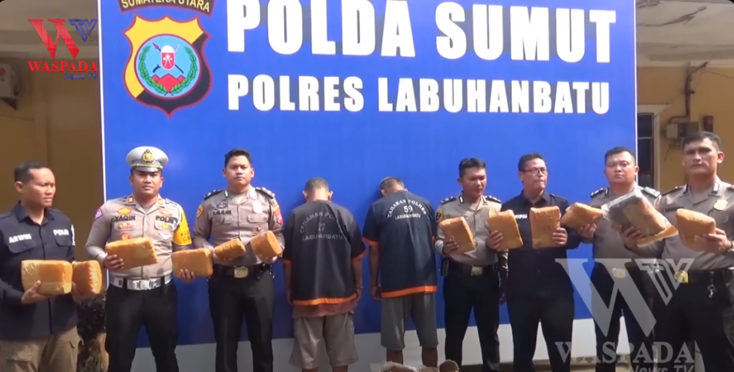 Polres Labuhanbatu Amankan 12 Kilogram Ganja Kering